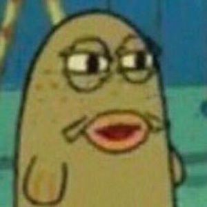 Meet your Posher, Lilia